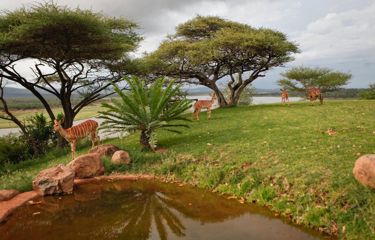 Nkwazi Lake Lodge Pongola Exteriér fotografie